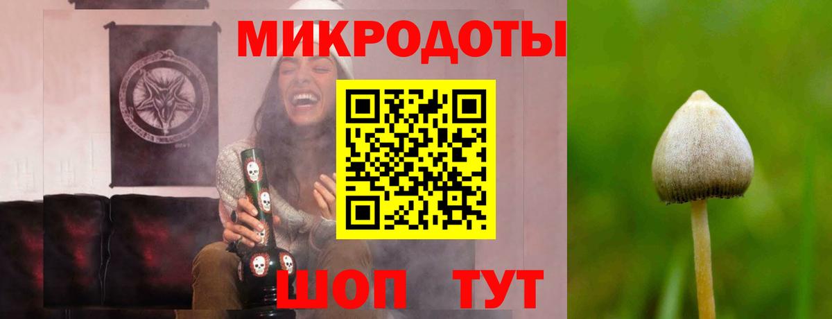 Галлюциногенные грибы Psilocybine cubensis Элиста